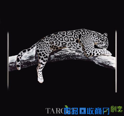 猎豹装饰画From剪刀石头布-帝幔进口家具