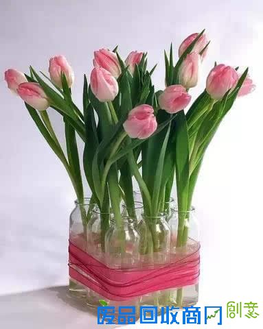 手工绝技一学就会 爸妈必学技能