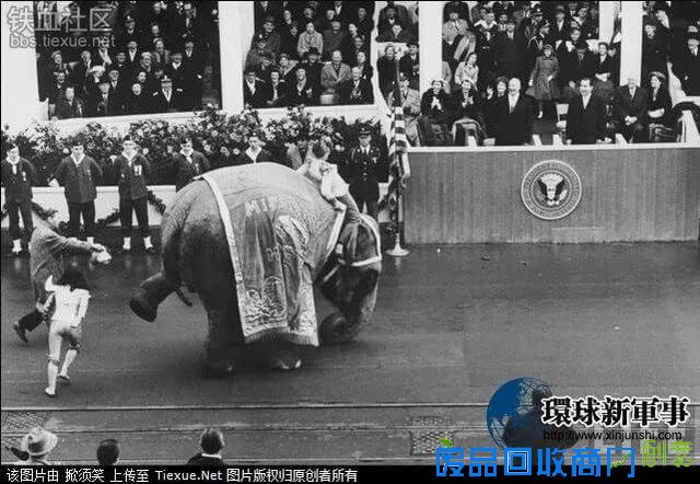 难得一见美军阅兵！印度阅兵表演不算什么美国军队阅兵都上大象