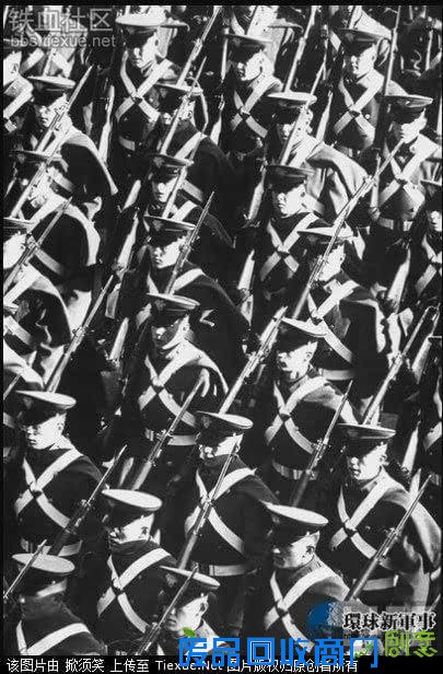 难得一见美军阅兵！印度阅兵表演不算什么美国军队阅兵都上大象