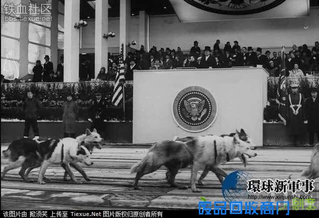 难得一见美军阅兵！印度阅兵表演不算什么美国军队阅兵都上大象