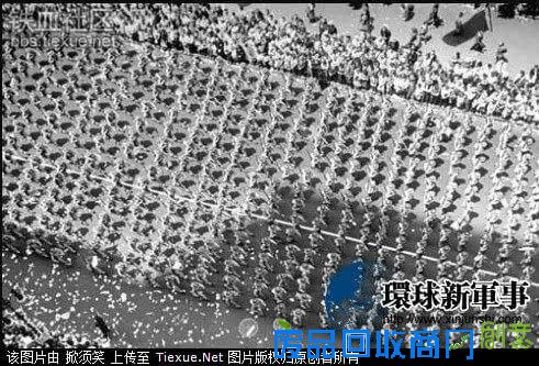 难得一见美军阅兵！印度阅兵表演不算什么美国军队阅兵都上大象