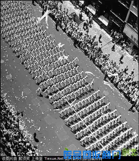 难得一见美军阅兵！印度阅兵表演不算什么美国军队阅兵都上大象