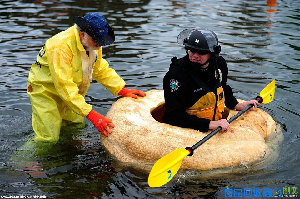 美国举办巨无霸南瓜快艇赛 众人划南瓜船趣味横生