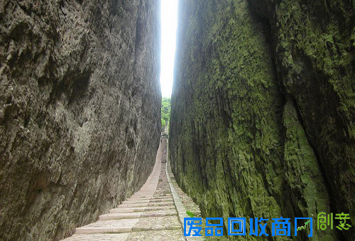 中国少年国学院