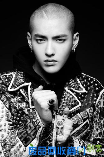 盘点吴亦凡2015 国内发展成绩斐然（3）