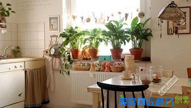 文青必备软装搭配技巧 6个实用小物玩转小清新