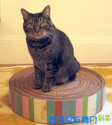 看手工达人们如何变废为宝，瓦楞纸的华丽变身！