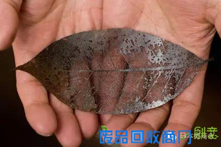 一位日本剪纸艺术家的纸雕神作