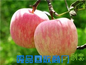 春节回家带点啥？河北各地特产大全一览