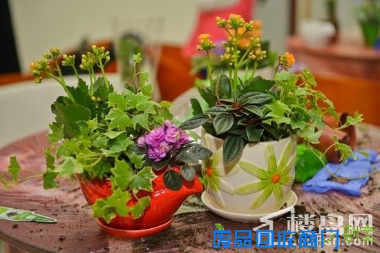 最美的时光第二季 劳动最光荣·乐活DIY趣味体验汇