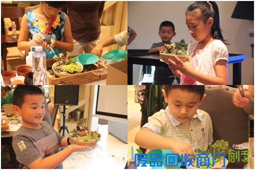 无肉不欢 Harbor House多肉植物DIY萌情开启