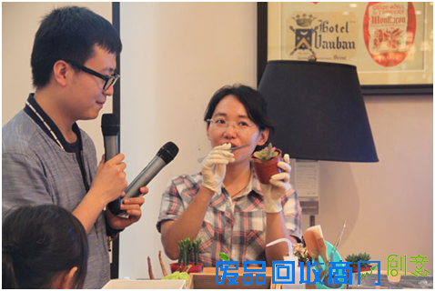 无肉不欢 Harbor House多肉植物DIY萌情开启