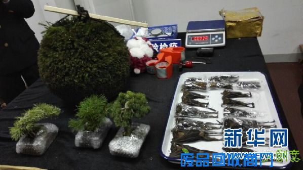 上海国检局创新“人、机、犬+审单”查验模式 筑起国门安全防线