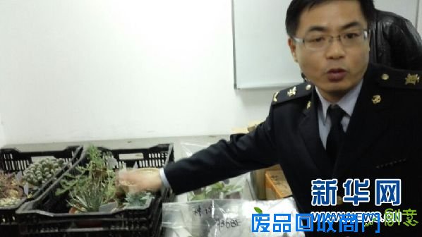 上海国检局创新“人、机、犬+审单”查验模式 筑起国门安全防线