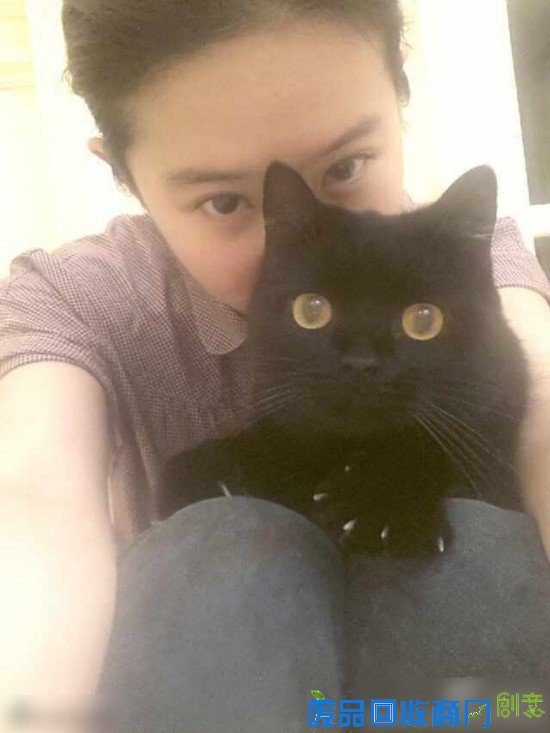 周慧敏陈妍希秀智 清纯唯美国民初恋女神盘点