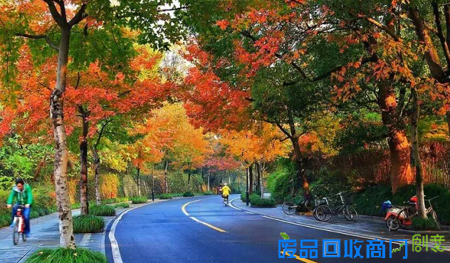 美图美片 带你领略杭城之美