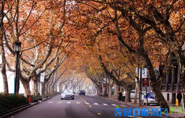 美图美片 带你领略杭城之美