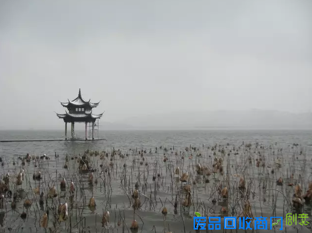 美图美片 带你领略杭城之美