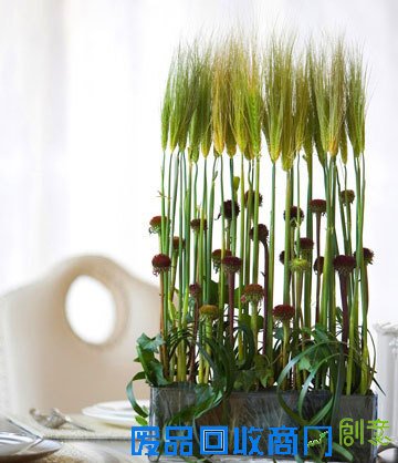 花艺|扮靓你的家 DIY简单插花花艺教程