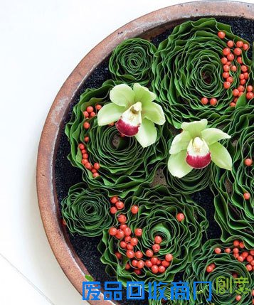 花艺|扮靓你的家 DIY简单插花花艺教程