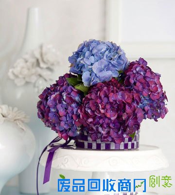 花艺|扮靓你的家 DIY简单插花花艺教程