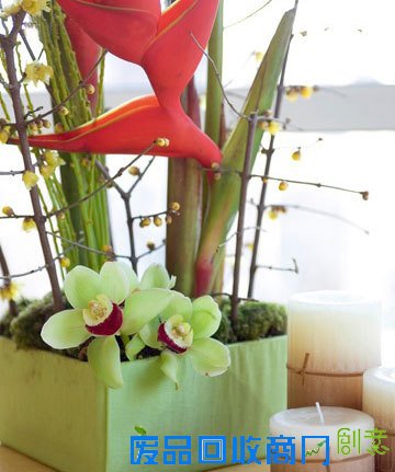 花艺|扮靓你的家 DIY简单插花花艺教程