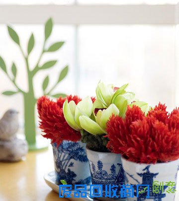 花艺|扮靓你的家 DIY简单插花花艺教程