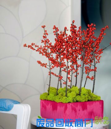 花艺|扮靓你的家 DIY简单插花花艺教程