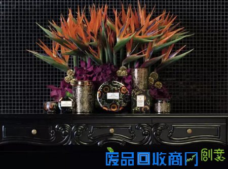 带你用鼻子环游世界