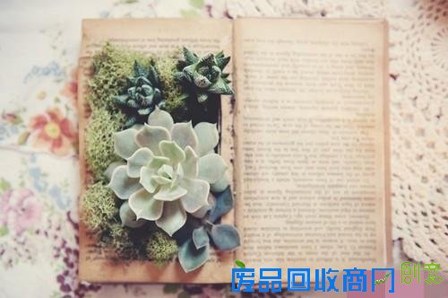 教你策划一场文艺范十足的婚礼