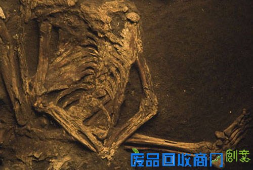 揭秘墨西哥死亡金字塔