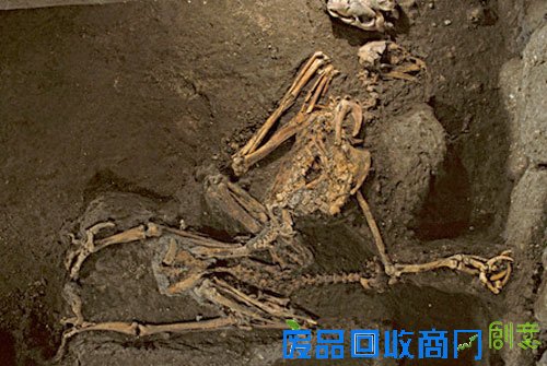 揭秘墨西哥死亡金字塔