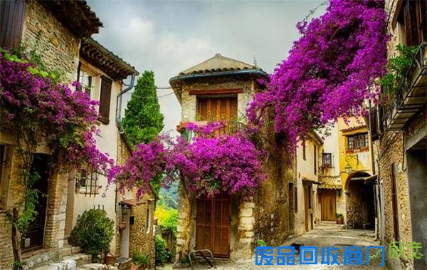 在这里，你可以宠辱不惊，看庭前花开花落；也可以去留无意，望天边云卷云舒。