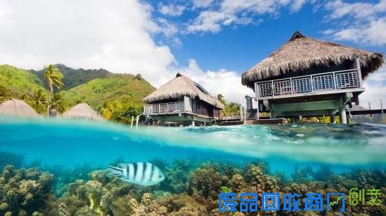 这里四季温暖如春、物产丰富。衣食无忧的人们常常无所事事地望着大海远处凝思,静待日落天亮。阳光跟着太平洋上吹来的风一同到来,海水的颜色也由幽深到清亮。他们管自己叫“上帝的人”。