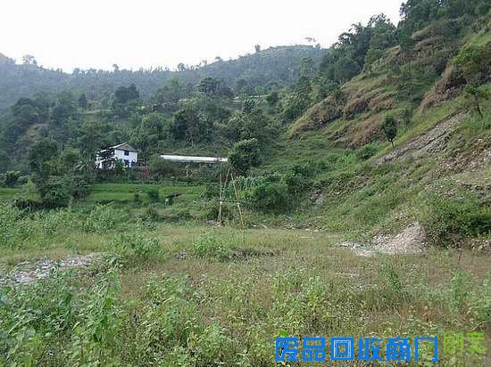 “多少落寞惆怅,都随晚风飘散,遗忘在乡间的小路上”