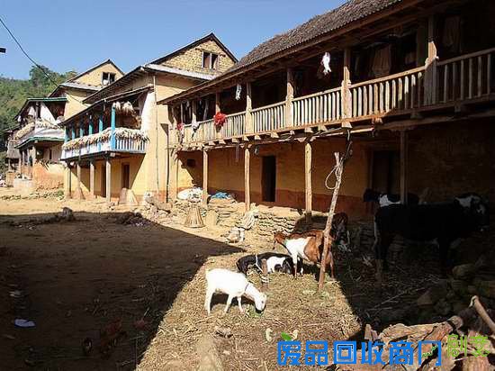 终于到山顶上的村子里了,牛、狗、羊、鸡,农村的基本要素。除房子不同,和中国农村无异,中国西部地区一些国家级贫困县和这里差不多,甚至还不如这里。