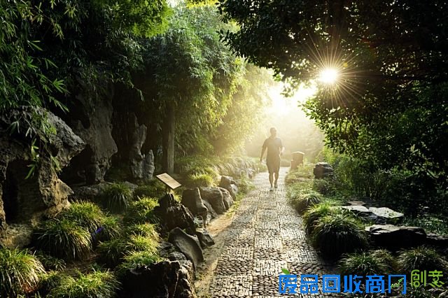 2015年11月上海公园活动汇总（图）