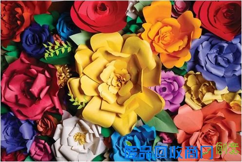 2015年11月上海公园活动汇总（图）