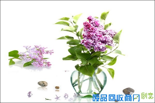 废物利用 一次性纸杯 diy 制作布艺 花盆 详解