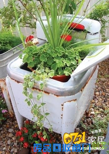 diy废弃物品变 花盆 为生活增添一份生机