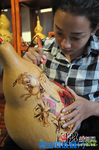 邢台90后姑娘王回青回乡创业种葫芦 年收入数百万元