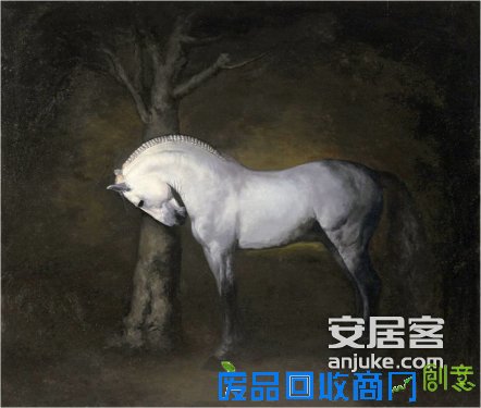 【美克嘉美湾】马术骑赏沙龙