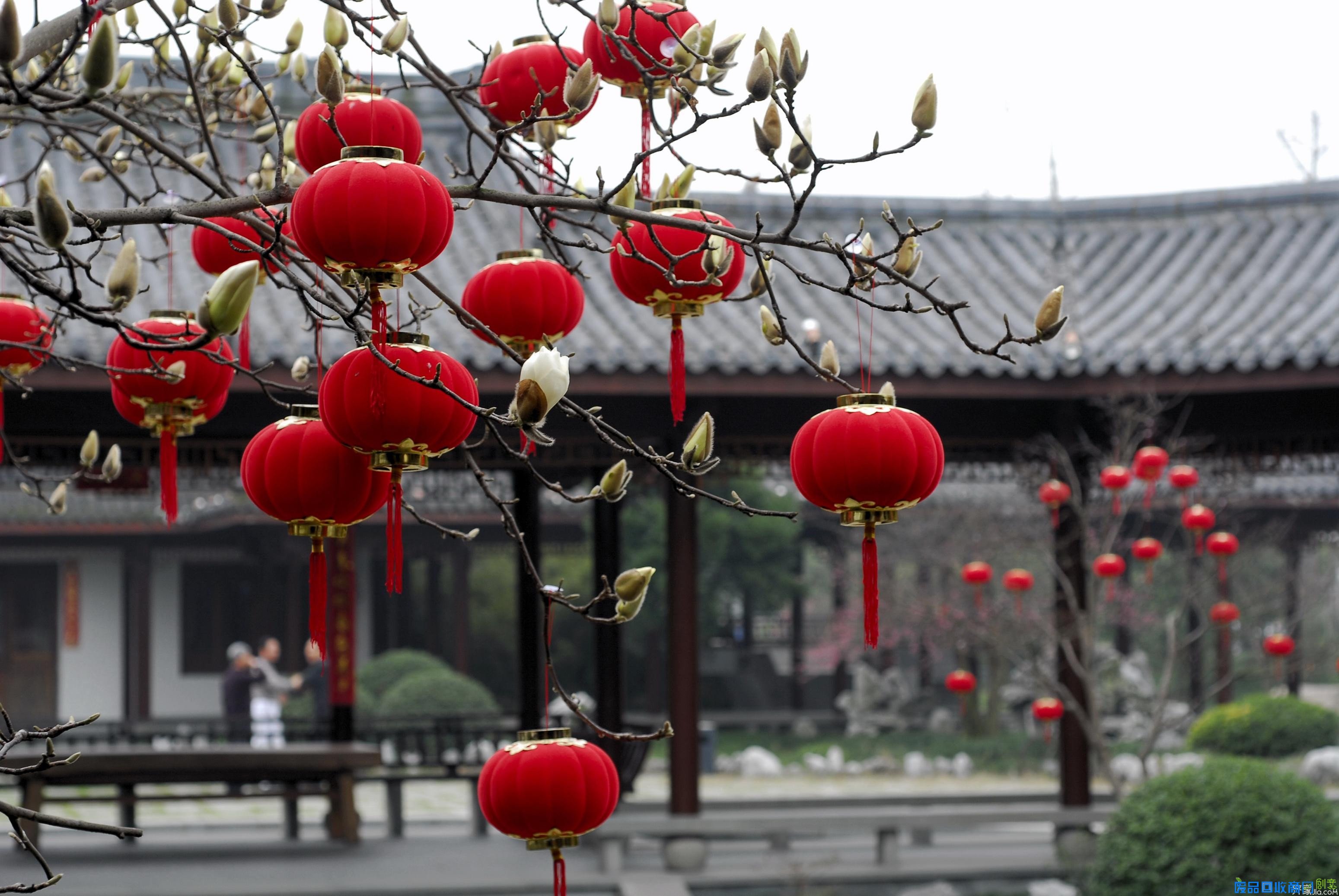 穷鬼春节在家怎么过出年味儿来?