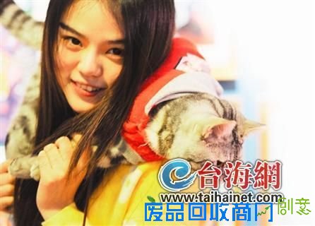 男生家成动物园建了猫博物馆 长得像林丹(图)