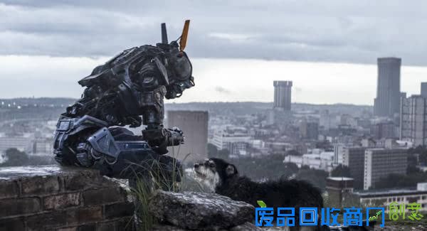 终于有一部有意思的电影上映了，我说的不是“复联2”