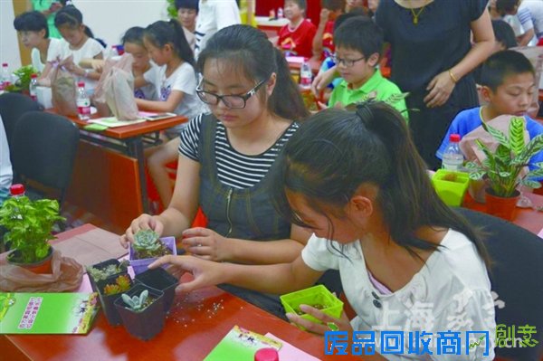 嘉定新城暑期活动别样精彩