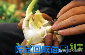 茶博城里开“两会” 花会、庙会迎新春