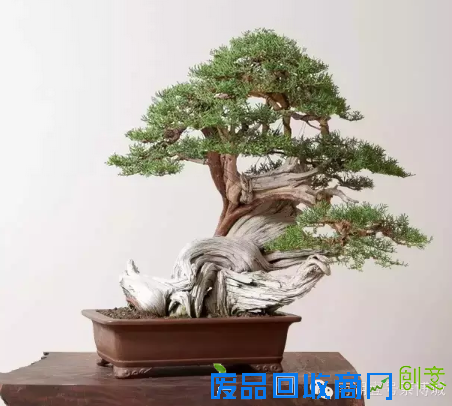 茶博城里开“两会” 花会、庙会迎新春