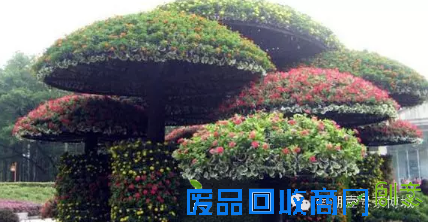 茶博城里开“两会” 花会、庙会迎新春